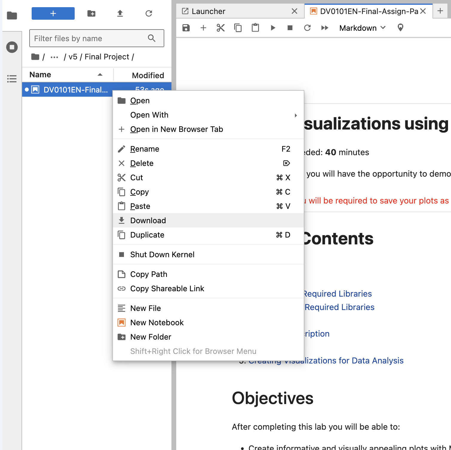 Download notebook option